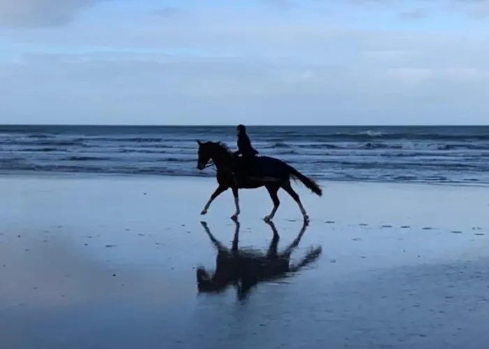 Coquelicot * 헤르망빌쉬르메르