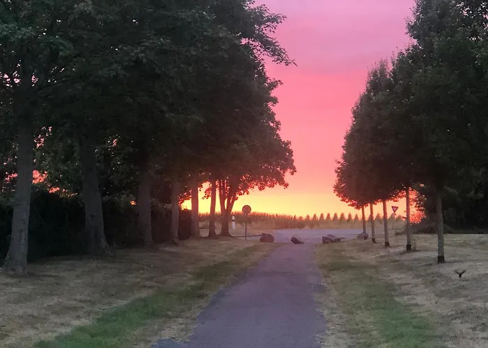 홈스테이 Coquelicot *