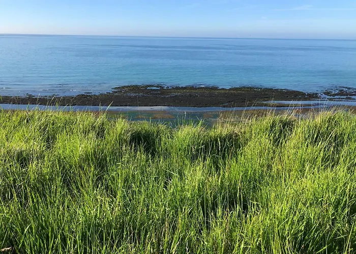 Coquelicot 헤르망빌쉬르메르