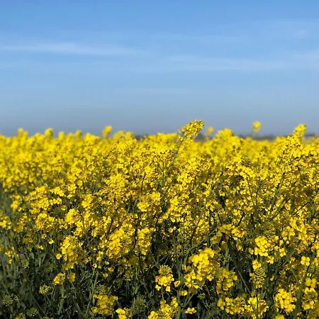 Coquelicot Ubytování v soukromí *