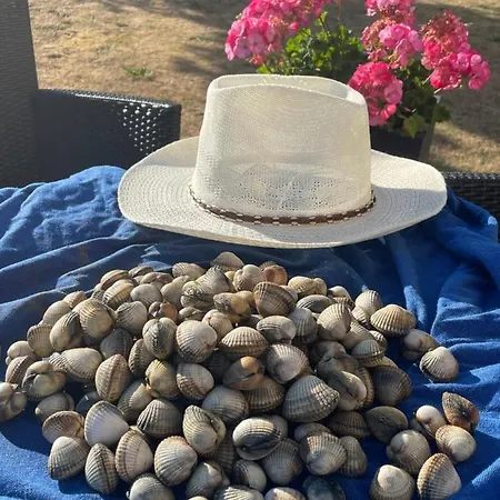 Coquelicot * 헤르망빌쉬르메르