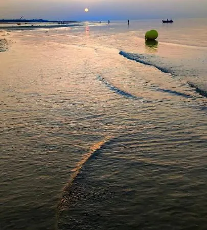 홈스테이 Coquelicot