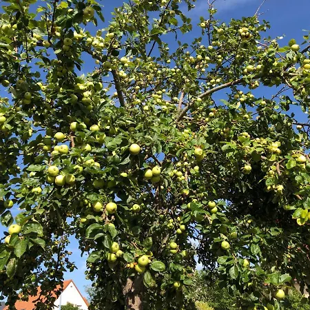 Pansiyon Coquelicot *