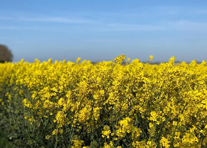 Coquelicot Ubytování v soukromí *