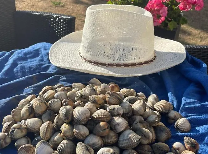 Coquelicot * Hermanville-sur-Mer