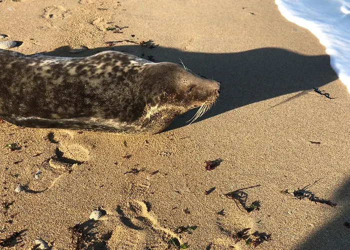 Coquelicot Ubytování v soukromí Hermanville-sur-Mer