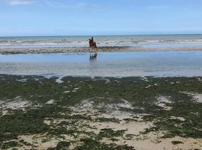 Coquelicot Pansiyon Hermanville-sur-Mer
