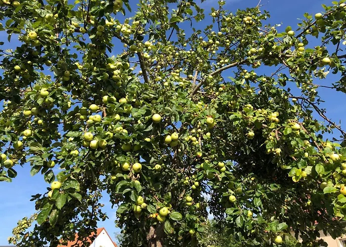 Privatunterkunft Coquelicot *